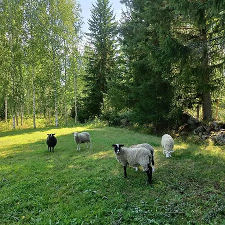 Uusitupa Сasa de vacaciones Luumäki